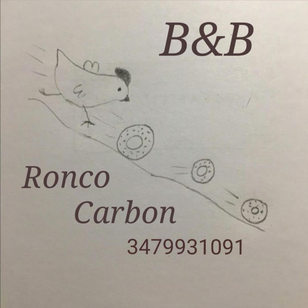 B&B Ronco Carbon 加廖 外观 照片